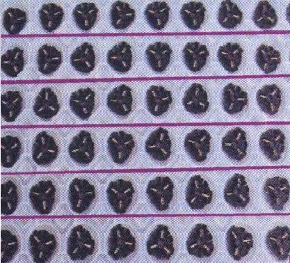 Tuyển 100 lao động phổ thông làm việc tại Quận 9 - HCM