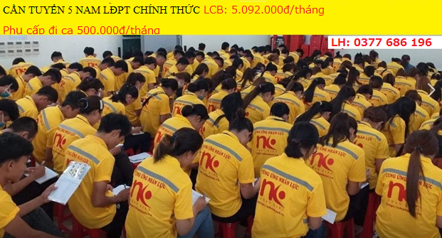 CẦN TUYỂN 5 NAM LĐPT CHÍNH THỨC