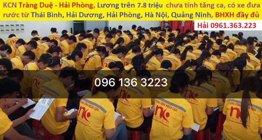 Tuyển dụng lao động làm việc tại nhà máy LG Display KCN Tràng Duệ - Hải Phòng (Mr. Hải 0961363223)