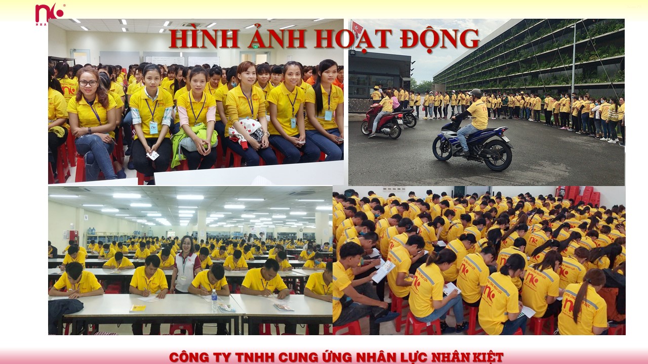 Quy trình đấu thầu khi sử dụng  Dịch Vụ Hợp Thức Hóa Lao Động